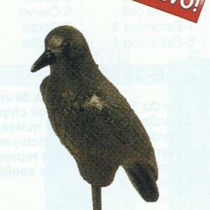 SEÑUELO CUERVO - COMPLEMENTOS CAZA